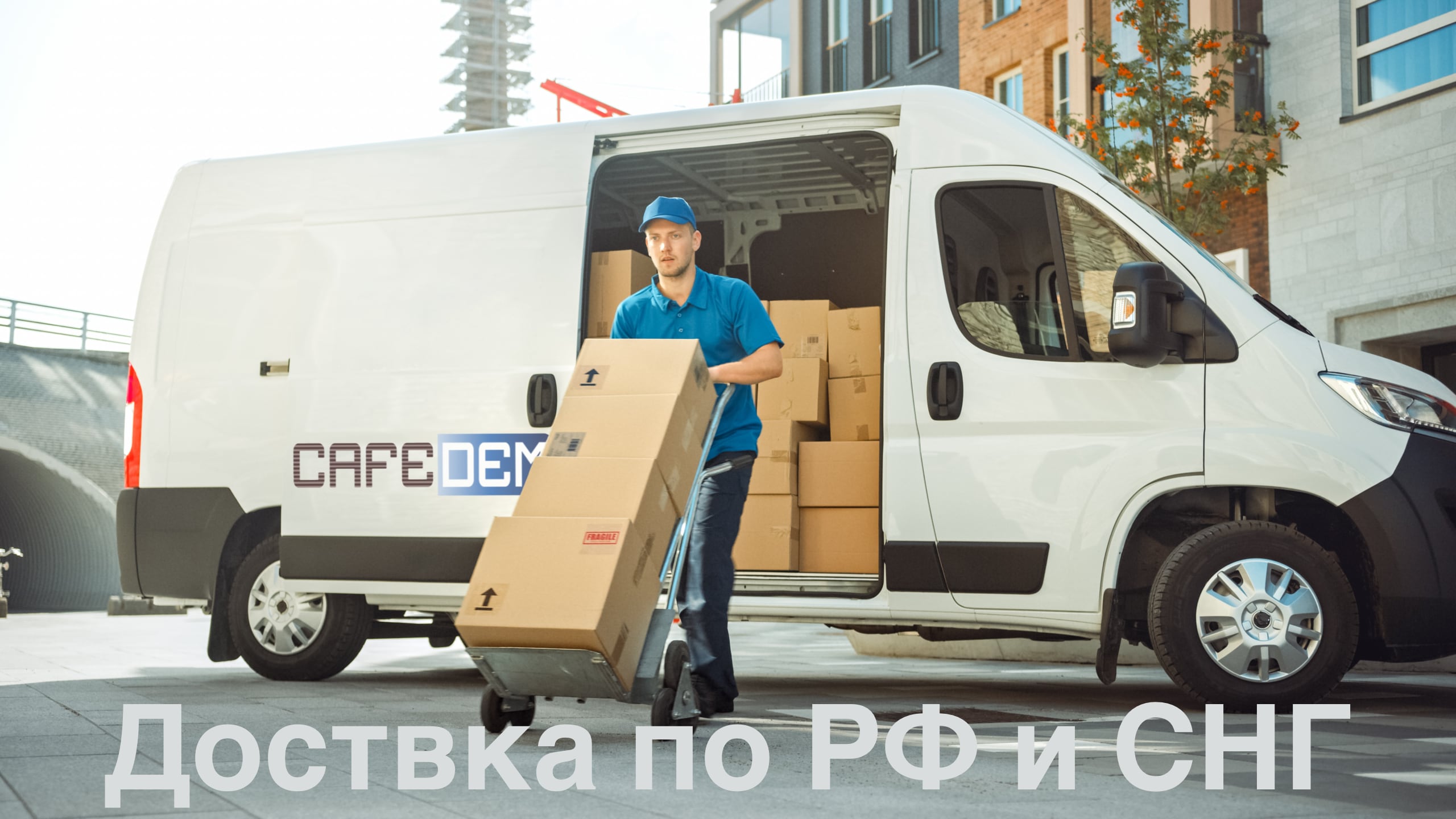 Доставка в любой регион РФ